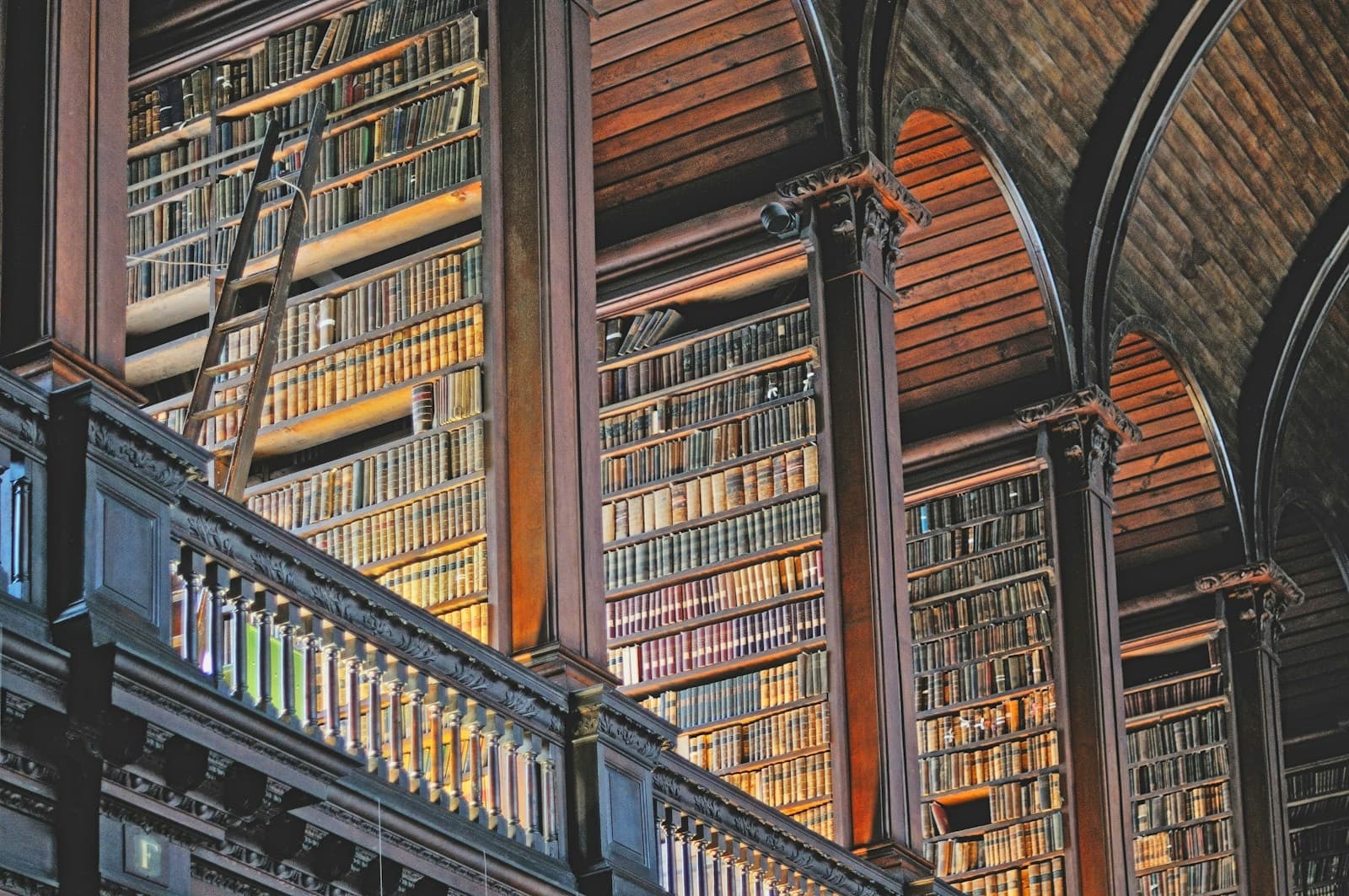 Tall wooden library shelves filled with old bound volumes beneath a vaulted ceiling